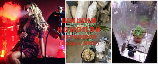 таблы Новодвинск