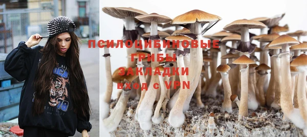 экстази Новозыбков