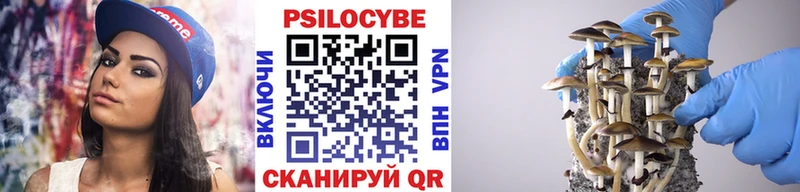 как найти закладки  Дербент  mega как зайти  Галлюциногенные грибы прущие грибы 