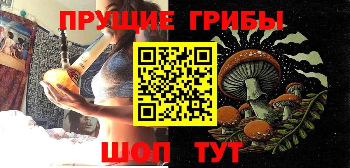 Галлюциногенные грибы Psilocybine cubensis Дербент